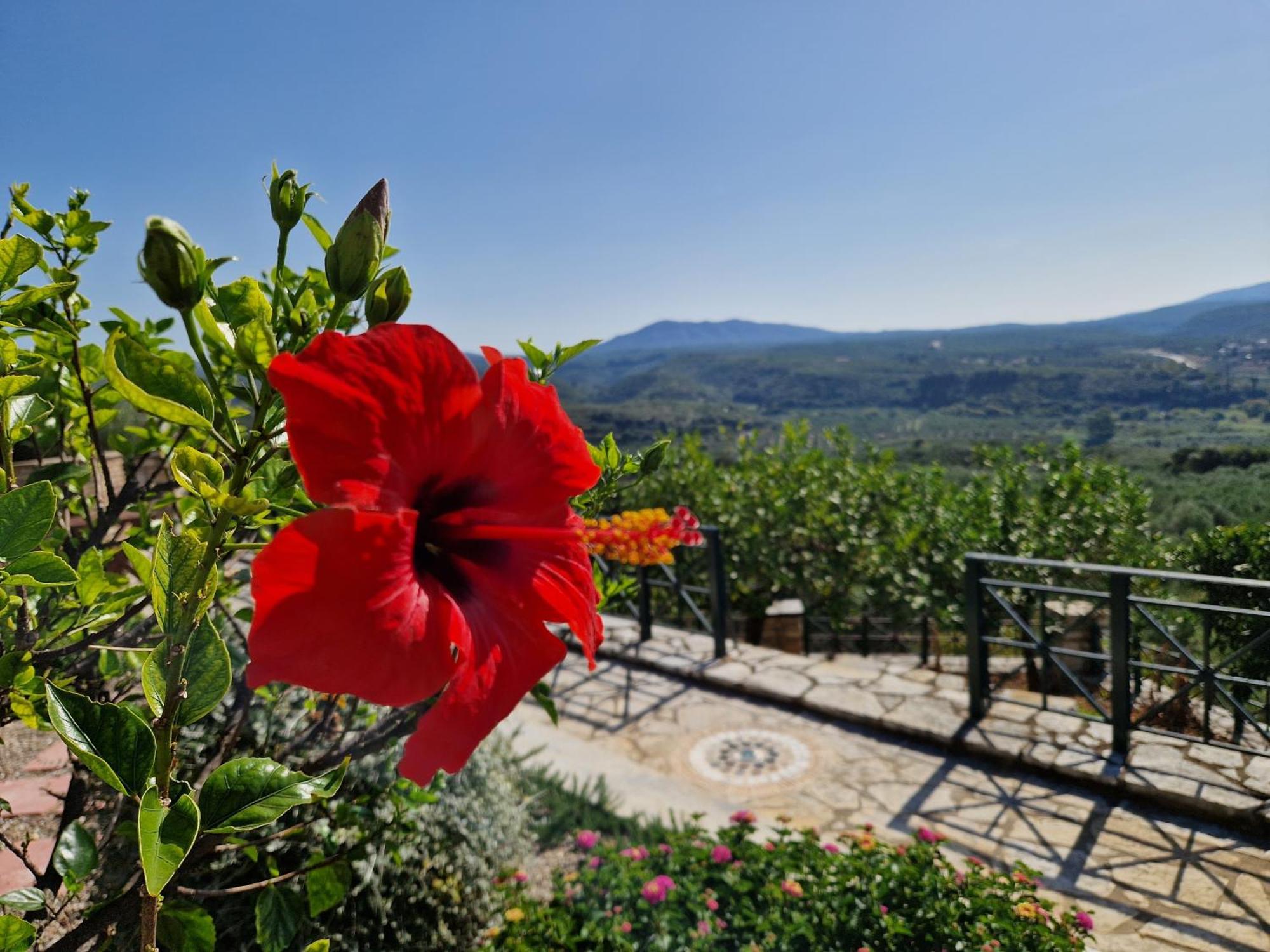 tragana villa Esterno foto